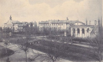 Bare trees before the pavilions, City Public Hospital, Novi Sad, 1910s