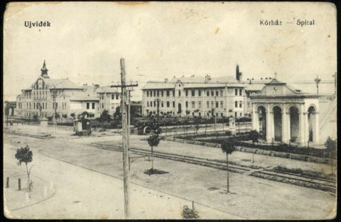 A Row of Hospital Pavilions Along a Tree-Lined Street, City Public Hospital, Novi Sad, 1896–1918
