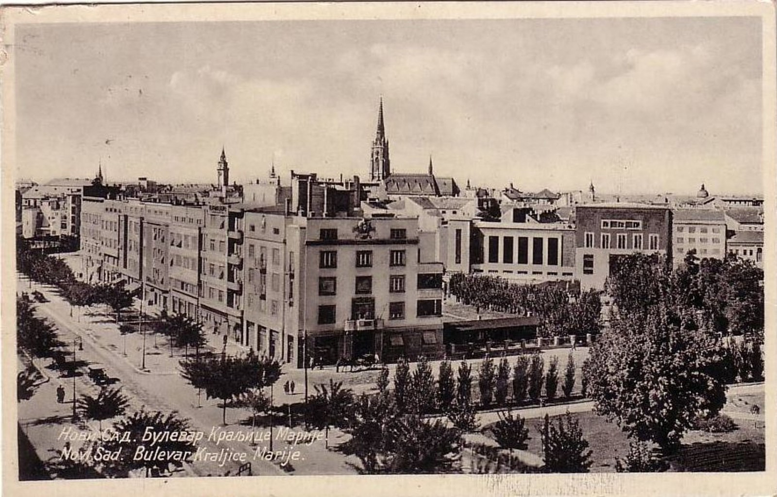 Down the tree-lined boulevard, Queen Mary Boulevard, Novi Sad, 1940