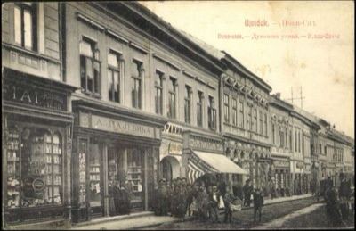 Danube Street, with a Crowd Outside the Branik Office, Dunavska Street, Novi Sad, by December 1908
