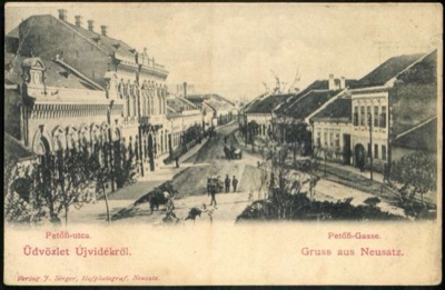 Petőfi Street, a Horse Cart Before the Rising Ground, Novi Sad, by August 1901