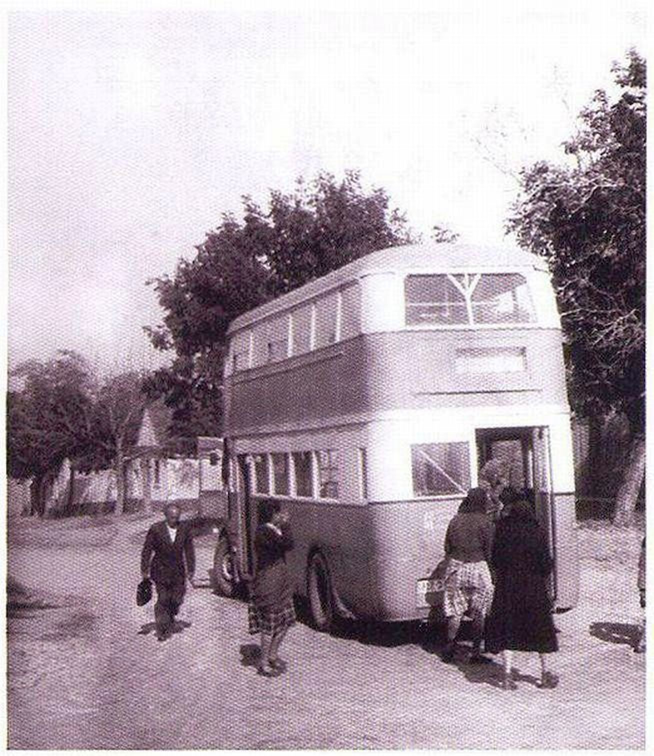 Londoner, a double-decker bus, Novi Sad, 1950–1959