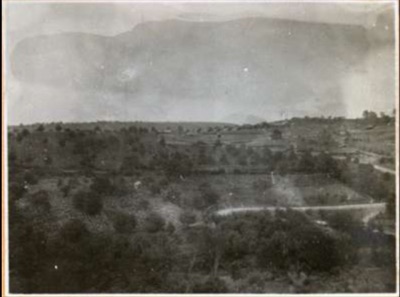 A Hazy Landscape View of Fields Near Petrovaradin, Novi Sad, 1917