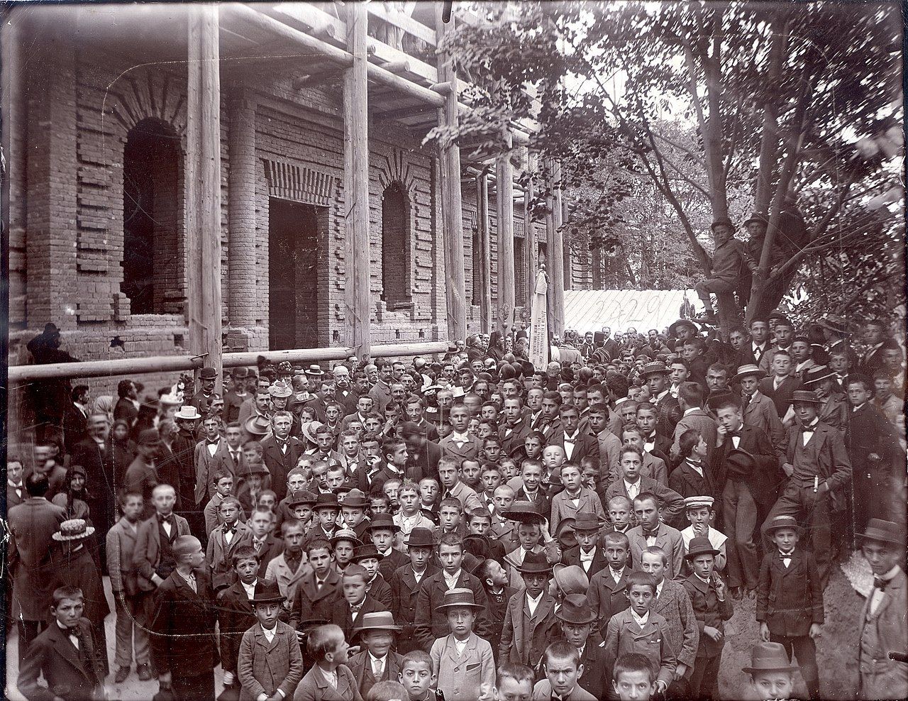 Group portrait on the steps, Novi Sad, 1890–1910