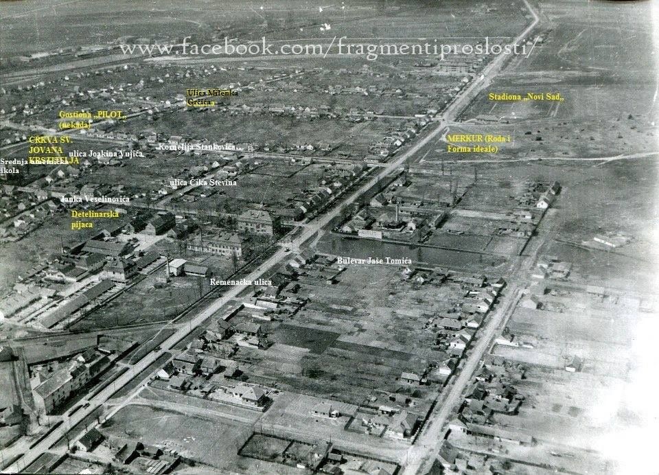 Detelinara Settlement, Novi Sad, 1950–1959