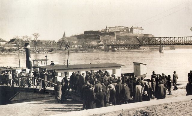 Steamship to Sremska Kamenica, Novi Sad, 1920–1941