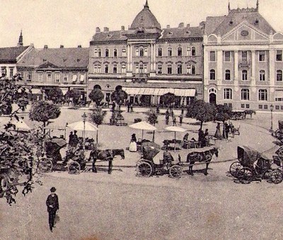 Cabs waiting under the trees, Liberty Square, Novi Sad, 1900s
