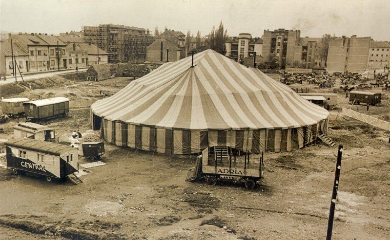 ADRIA circus in Podbara, Novi Sad, 1955–1965