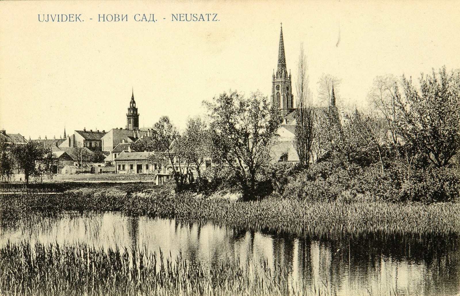 Swamp, Danube Park, Novi Sad, 1900s