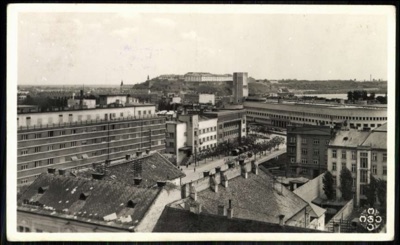 Novi Sad's Skyline, with the Palace Tower and Petrovaradin Fortress, 1919–1941