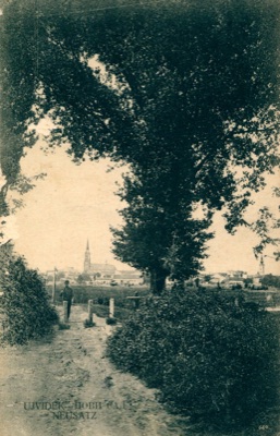 The path under the poplars, Novi Sad, 1894–1918